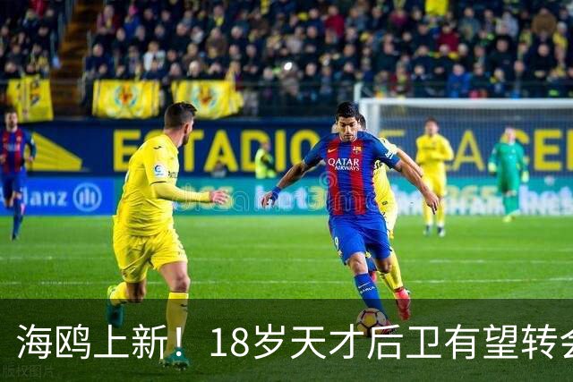 海鸥上新！18岁天才后卫有望转会英格兰，天赋顶级布莱顿要买